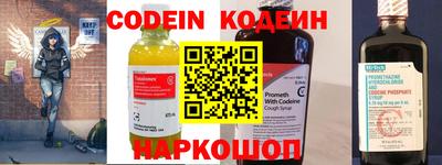 индика Кулебаки