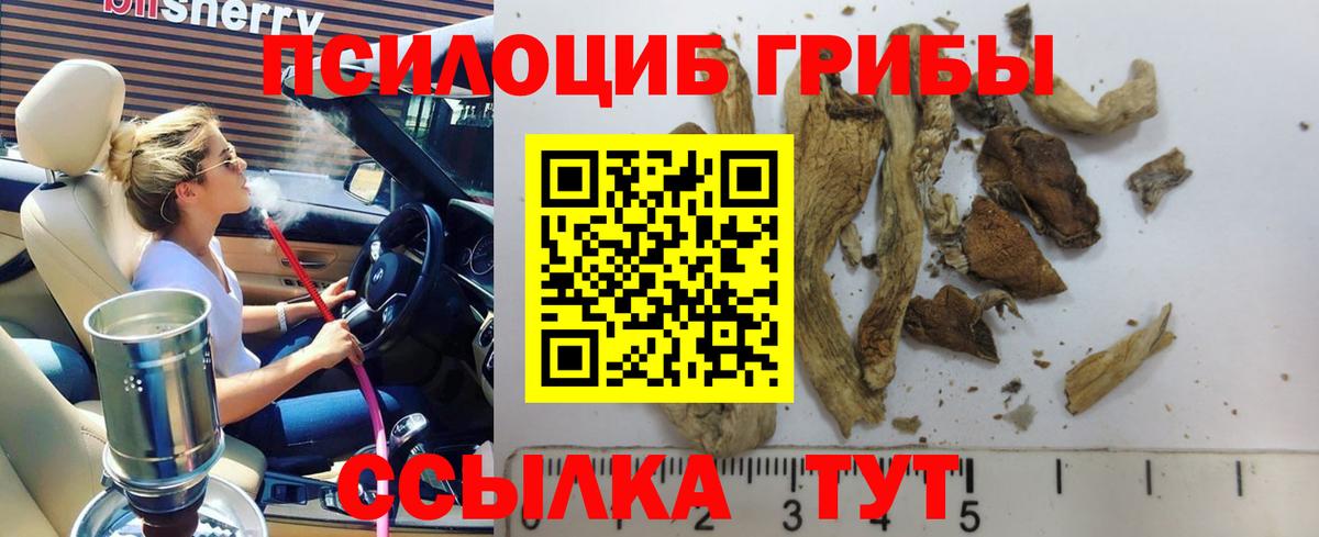 Псилоцибиновые грибы мухоморы Чебаркуль